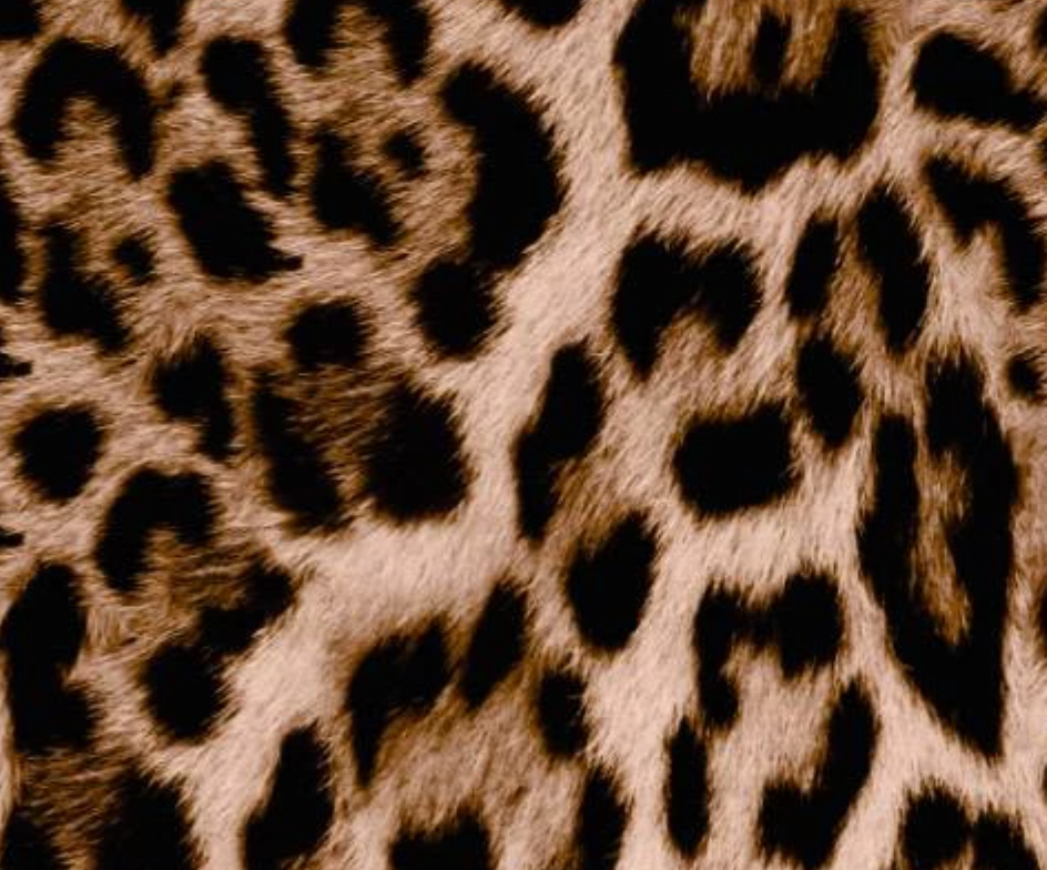 Ex voto | Protection Œil